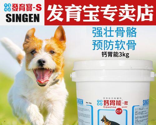 狗狗骨骼健康必备——选择适合的钙粉（如何选择适合狗狗的钙粉）