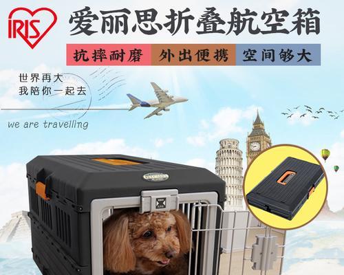 如何顺利让宠物狗狗空运（从准备到送行）