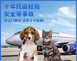 如何顺利让宠物狗狗空运（从准备到送行）
