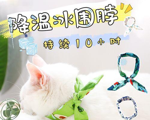 如何保护宠物狗免受中暑之苦（狗狗防中暑的秘诀）