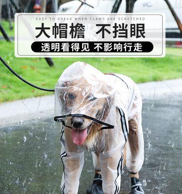 如何避免狗狗走路腿打滑（宠物健康的重要性与腿部打滑的原因及解决方法）