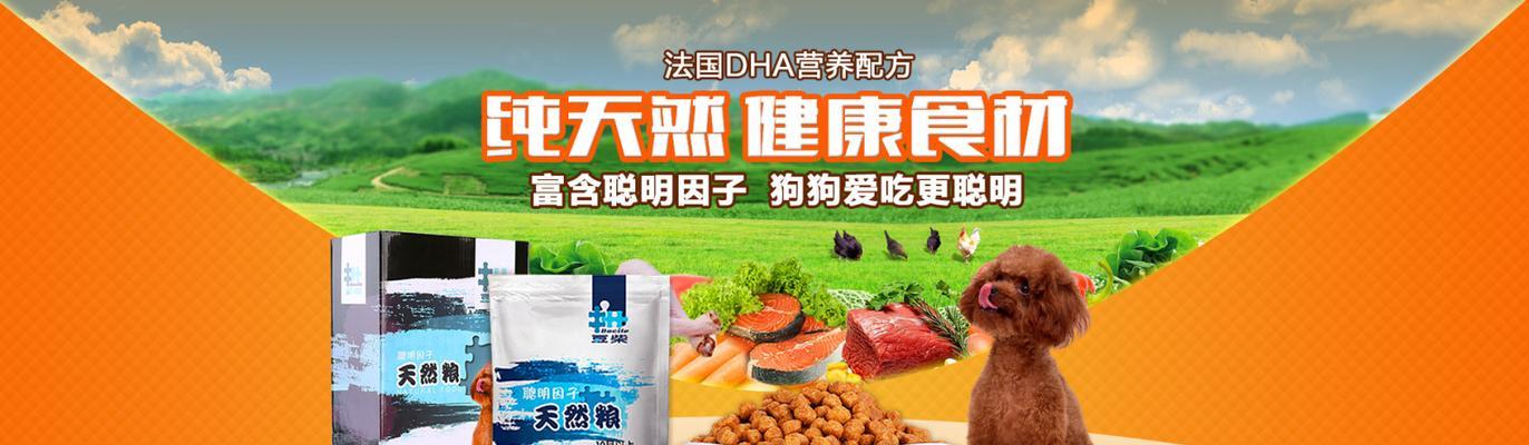 如何选择适合宠物的狗粮（以狗粮网上哪款好为例）