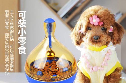 如何在哪里化验狗粮（了解宠物健康）