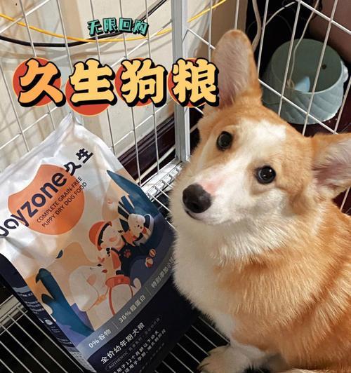 如何科学喂养小狗，健康成长（以狗粮为主要食物）