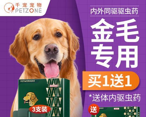 如何用狗驱虫保护宠物健康？