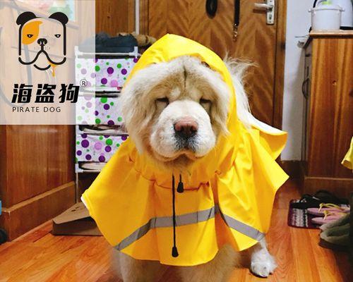 狗生下小狗，别拿走它们（关注宠物保护）
