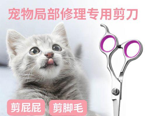 狗狗修毛的好处（为你的宠物打造完美形象）
