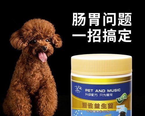 以狗作呕该吃什么药（宠物呕吐症状及应对方法）
