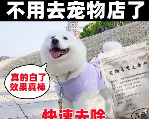 以泪痕狗狗为名，关爱宠物的责任（探寻泪痕狗狗的真正含义）