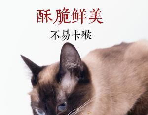 暹罗猫的饮食选择（宠物营养必须知道的15个知识点）