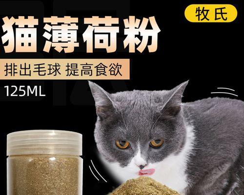 从食物、日常护理到医疗保健，全面解决猫咪毛球问题（从食物、日常护理到医疗保健）