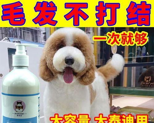 猫咪洗澡全指南（如何正确给猫咪洗澡）