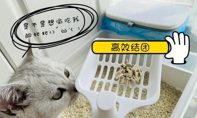 探究猫砂的由来及制作方法（以宠物为主的猫砂）