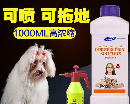 以猫细小传染为何如此严重（探究猫细小的传播途径及防治方法）
