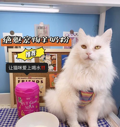 猫油的神奇用途（宠物必备）