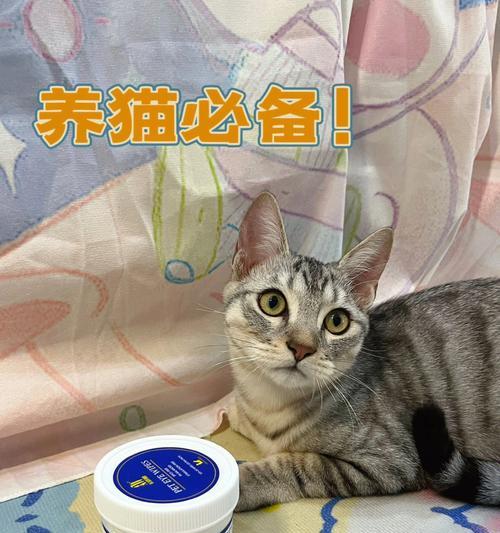 猫油的神奇用途（宠物必备）