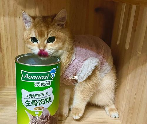 猫咪的饮食习惯及健康危害（猫咪的饮食习惯及健康危害）