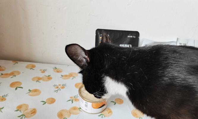 猫咪为什么吃东西那么快（揭秘猫咪进食习惯及如何改善）