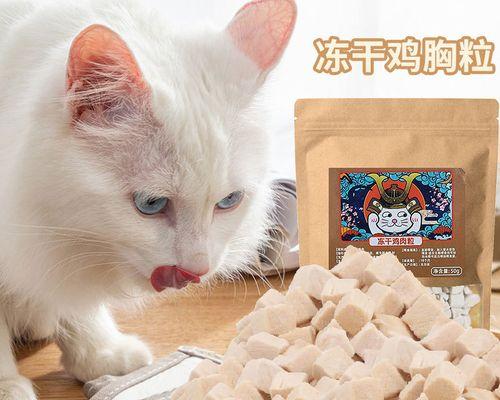 猫咪能吃鸡肉吗（了解猫咪的营养需求）