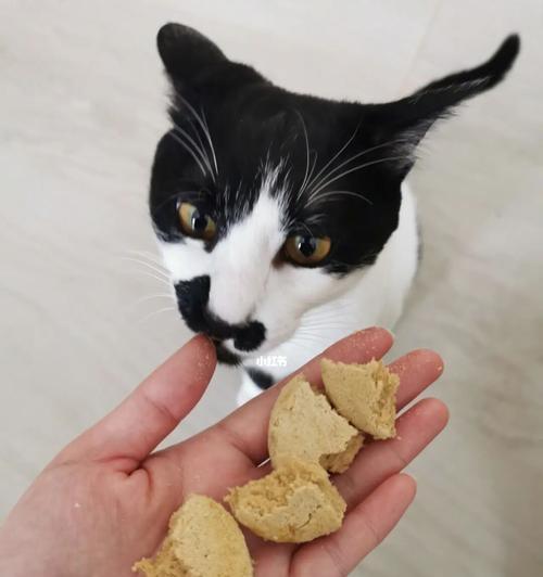 猫咪冻干（从选购到食用）