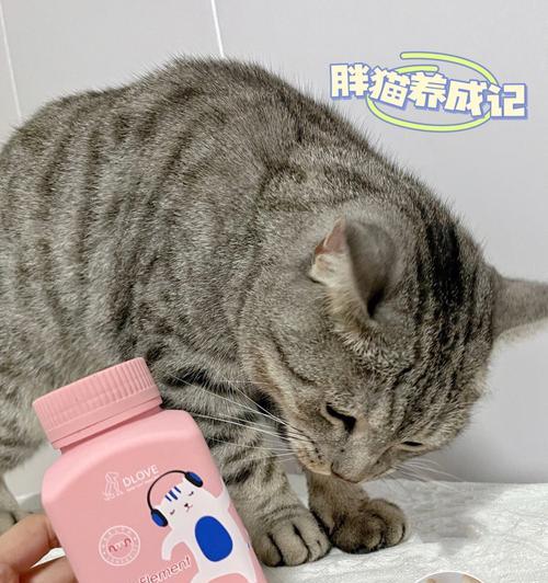 如何选择适合猫咪的钙片（以宠物为主）