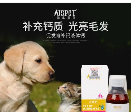 宠物猫咪如何正确服用钙片（科学合理的钙片摄入方法）