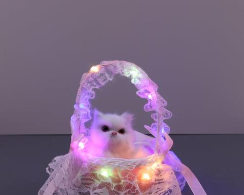 猫咪肛门黑紫色，这可能意味着什么（了解猫咪的健康问题）