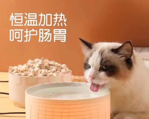 猫粮换购之道（以猫咪换猫粮好吗）