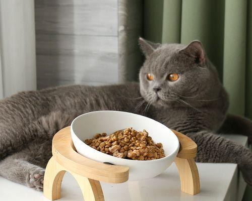 宠物猫咪混合猫粮饮食指南（如何选择合适的猫粮和猫咪饮食习惯的建立）