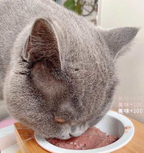 猫咪加餐必备，健康好味道（打造宠物的美味盛宴）