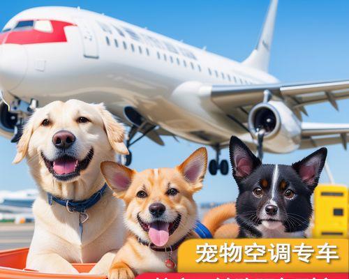猫咪检查费用是多少（掌握猫咪检查标准、费用、保险等重要信息）