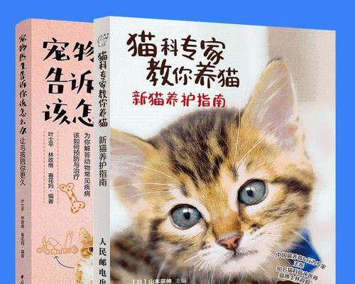 猫咪寄养全攻略（了解宠物寄养事项）