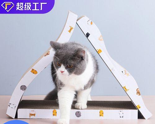 猫咪为什么老是挠自己（探究猫咪挠自己的原因与解决方法）