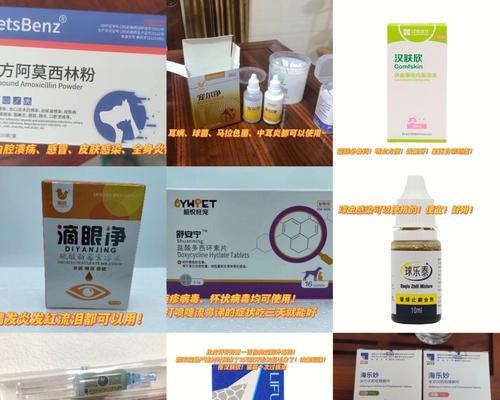 猫咪凝胶的神奇功效（宠物护理必备）