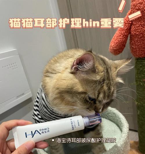 猫咪凝胶的神奇功效（宠物护理必备）