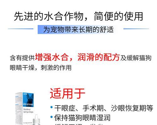 猫咪凝胶的神奇功效（宠物护理必备）