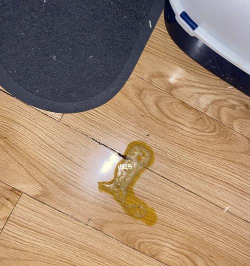 猫咪呕吐物带血怎么办（如何预防与处理呕吐问题）