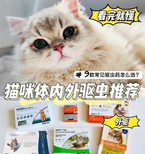 猫咪驱虫的正确方式（以配种为手段保护宠物健康）