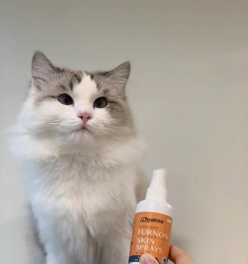 猫咪喷药正确使用指南（宠物健康护理）