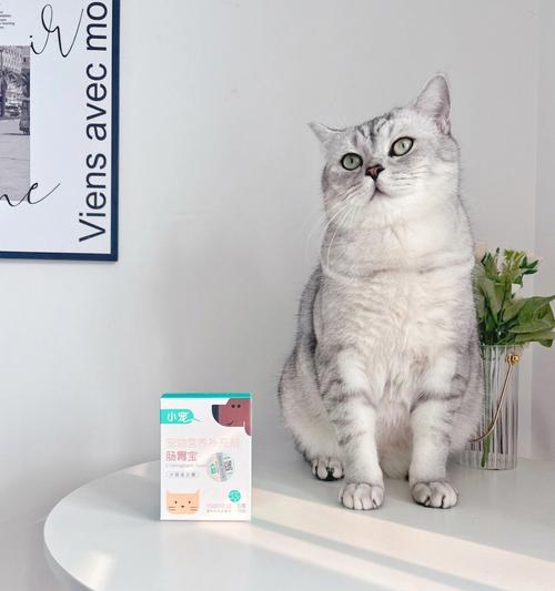 小猫拉稀，如何救急（宠物健康）