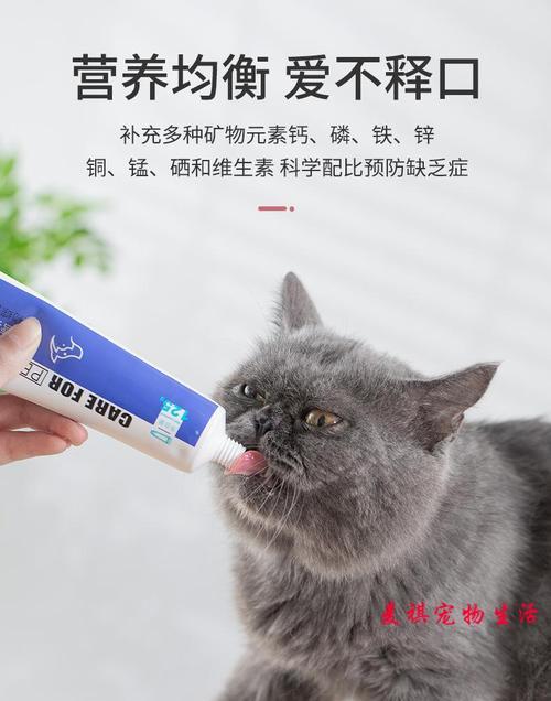 宠物小猫是否能吃化毛膏（了解化毛膏的成分和对小猫的影响）