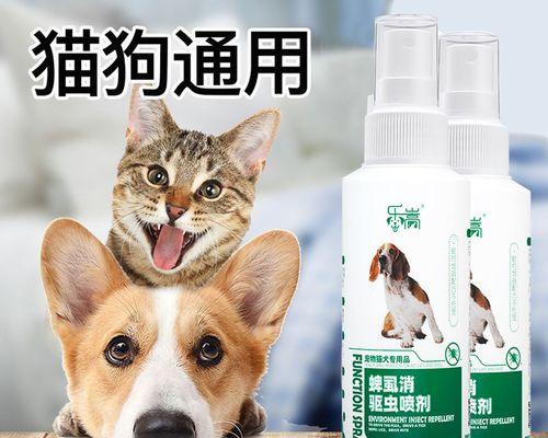 小猫也需要驱虫和洗澡——宠物猫的日常保健方法（宠物猫的驱虫和洗澡必须知道的注意事项）