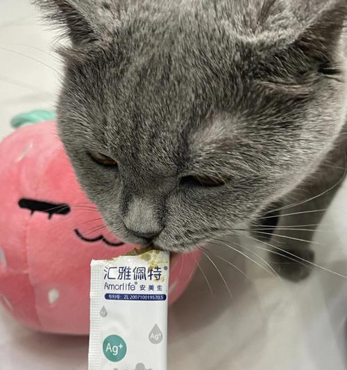 宠物毛发护理，小猫如何喂化毛膏（了解化毛膏的作用及正确喂养方法）