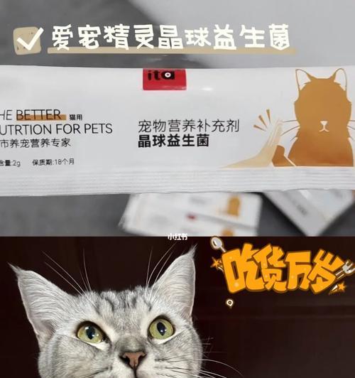 宠物小猫软便怎么办（药品和饮食调整缓解便秘）