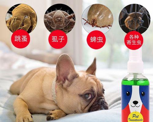 如何保护宠物健康？——以小猫体外驱虫为例