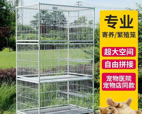 小猫晚上关笼子的重要性（保护宠物健康）