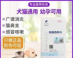 小猫消炎药使用指南（了解宠物消炎药的分类及使用方法）