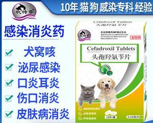 小猫消炎药使用指南（了解宠物消炎药的分类及使用方法）