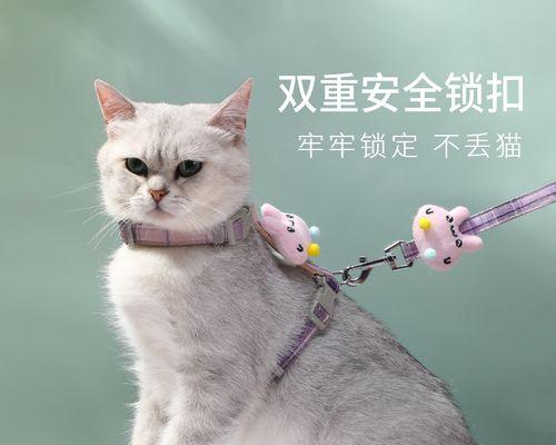 小猫咬人（探究宠物猫咪咬人的原因及解决方法）