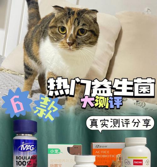 小猫喝益生菌水的正确方法（宠物养护）
